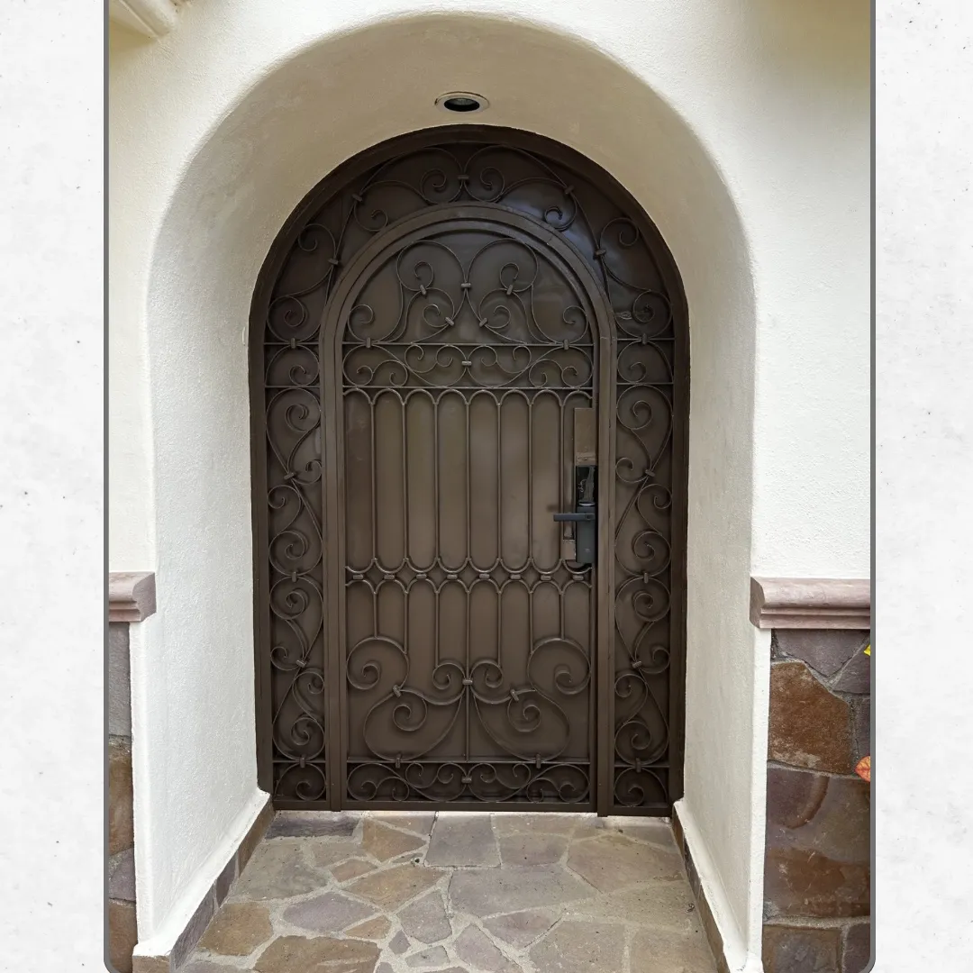 Diseño y Fabricación de Puertas Principales Personalizadas 1