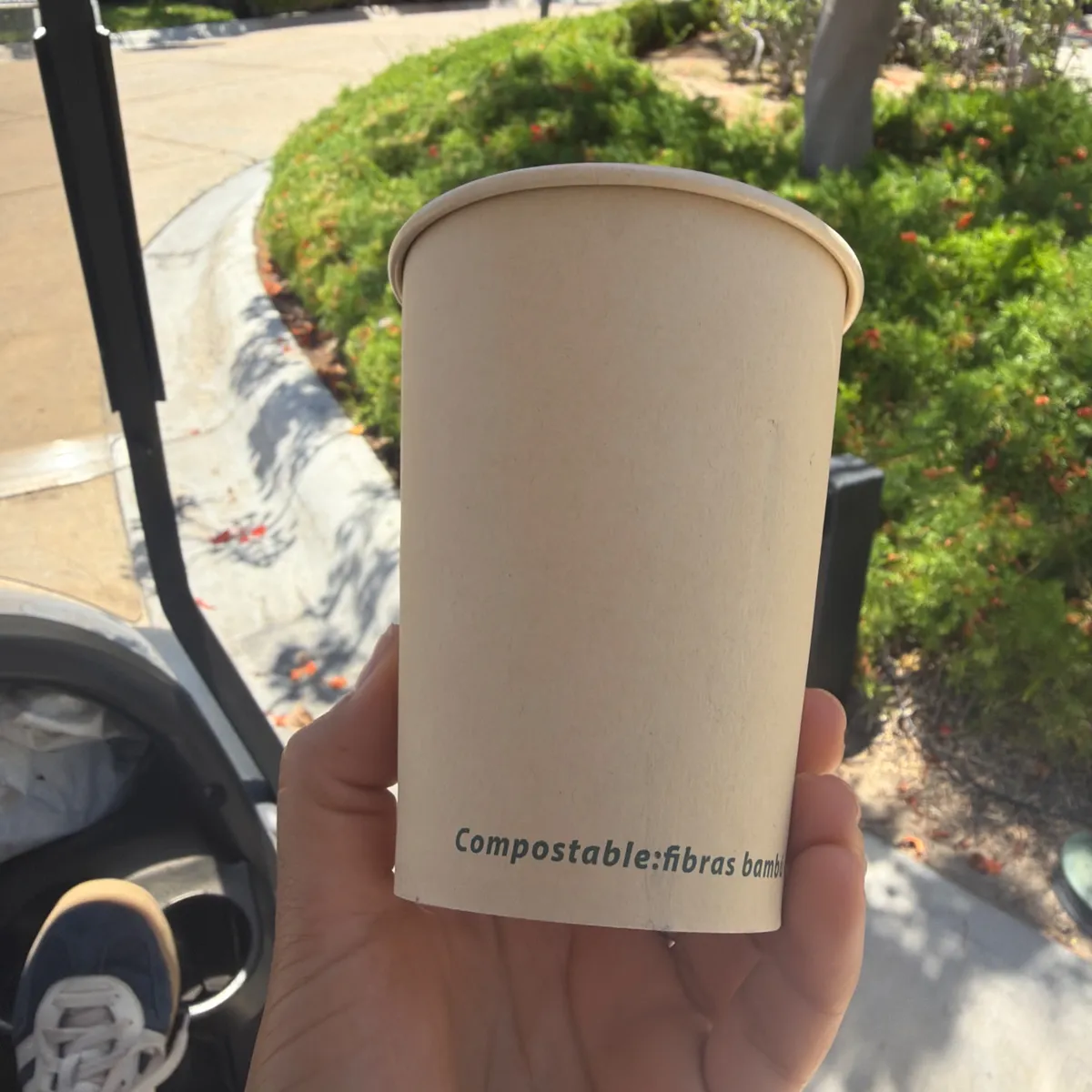 Vaso Compostable de Fibra de Bambú Ecológico 1